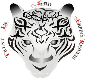 TRUST IN GOD EXPECT RESULTS