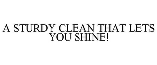 A STURDY CLEAN THAT LETS YOU SHINE!