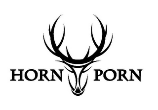 HORN PORN