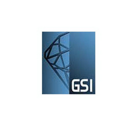 GSI