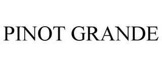 PINOT GRANDE