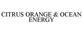 CITRUS ORANGE & OCEAN ENERGY