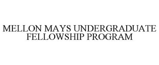 MELLON MAYS UNDERGRADUATE FELLOWSHIP PROGRAM