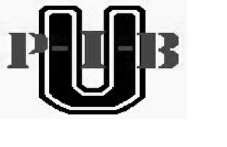 P-I-B U