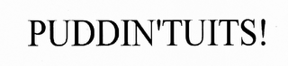 PUDDINTUITS