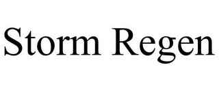 STORM REGEN
