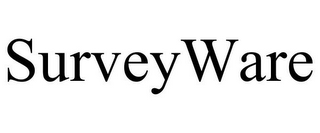 SURVEYWARE