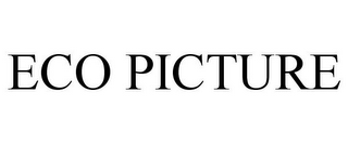 ECO PICTURE