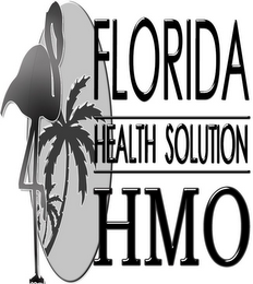 FLORIDA HEALTH SOLUTION HMO