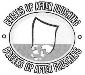 BREAKS UP AFTER FLUSHING BREAKS UP AFTER FLUSHING