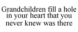 GRANDCHILDREN FILL A HOLE IN YOUR HEART THAT YOU NEVER KNEW WAS THERE