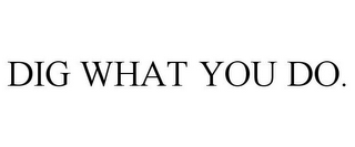 DIG WHAT YOU DO.