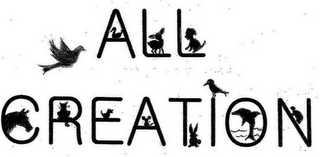 ALL CREATION