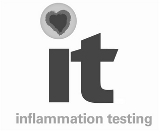 IT INFLAMMATION TESTING