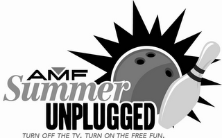 AMF SUMMER UNPLUGGED TURN OFF THE TV. TURN ON THE FREE FUN.