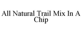 ALL NATURAL TRAIL MIX IN A CHIP