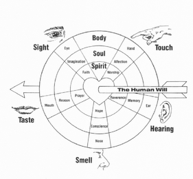 BODY SOUL SPIRIT TOUCH HAND AFFECTION WORSHIP HEARING EAR MEMORY REVERENCE SMELL NOSE CONSCIENCE HOPE TASTE MOUTH REASON PRAYER SIGHT EYE IMAGINATION FAITH THE HUMAN WILL