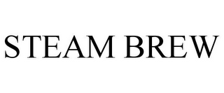 STEAM BREW