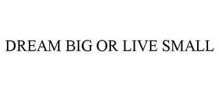 DREAM BIG OR LIVE SMALL