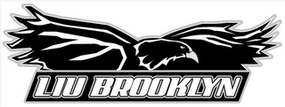 LIU BROOKLYN