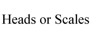 HEADS OR SCALES