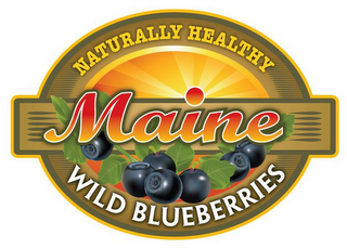 NATURALLY HEALTHY MAINE WILD BLUEBERRIES