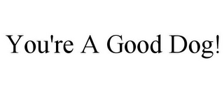 YOU'RE A GOOD DOG!