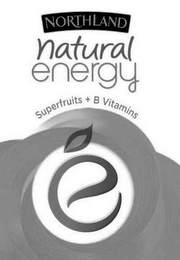 NORTHLAND NATURAL ENERGY SUPERFRUITS + B VITAMINS E