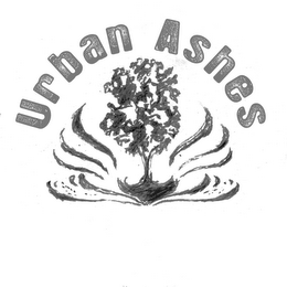 URBAN ASHES