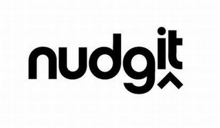 NUDGIT