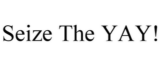 SEIZE THE YAY!