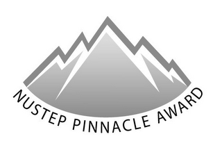 NUSTEP PINNACLE AWARD