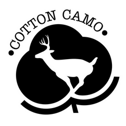 COTTON CAMO