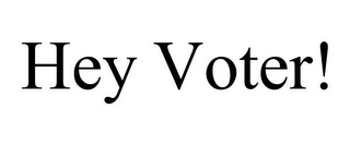 HEY VOTER!