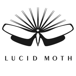 LUCID MOTH