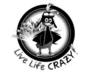 LIVE LIFE CRAZY!