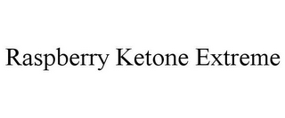 RASPBERRY KETONE EXTREME