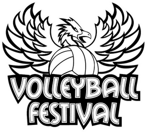 VOLLEYBALL FESTIVAL