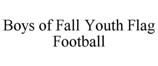 BOYS OF FALL YOUTH FLAG FOOTBALL