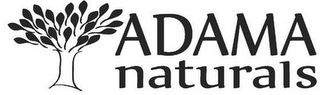 ADAMA NATURALS