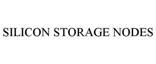 SILICON STORAGE NODES