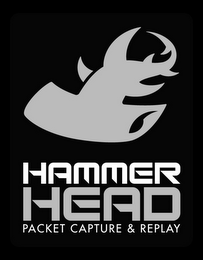 HAMMER HEAD PACKET CAPTURE & REPLAY