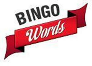 BINGO WORDS