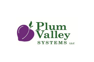 PLUM VALLEY SYSTEMS LLC