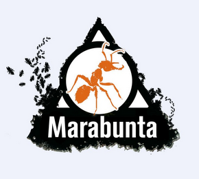 MARABUNTA