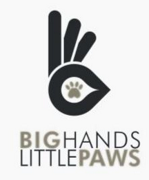 BIG HANDS LITTLE PAWS