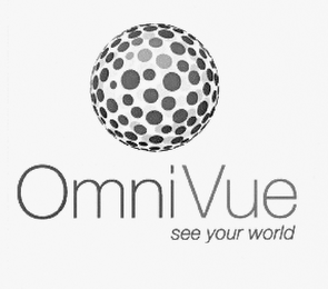 OMNIVUE SEE YOUR WORLD