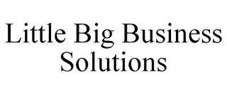 LITTLE BIG BUSINESS SOLUTIONS