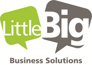 LITTLE BIG BUSINESS SOLUTIONS