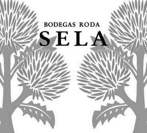 BODEGAS RODA SELA